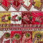 Designer Embroidered Saree – Heavy Embellished Work | Multiple Colours